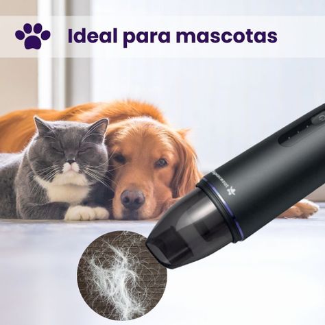 Aspiradora Inalámbrica De Mano/Auto Certificada SEC 60Watts-6