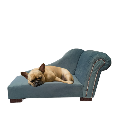 sofa mascota-0