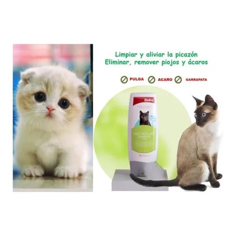 Shampoo Repelente De Insectos Para Gatos 200ml Bioline-1