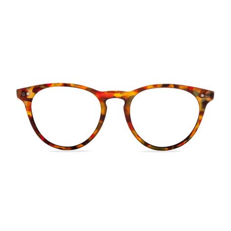 LENTES PARA PANTALLA W.A.R LAKE TORTOISE BLUE-0