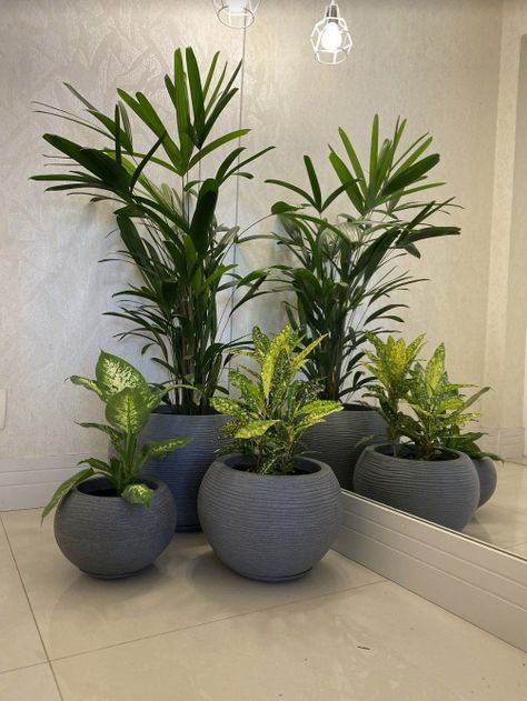 MACETERO FLORIDIS FLORENCIA GRAFITO 24CM CON PLATO-2