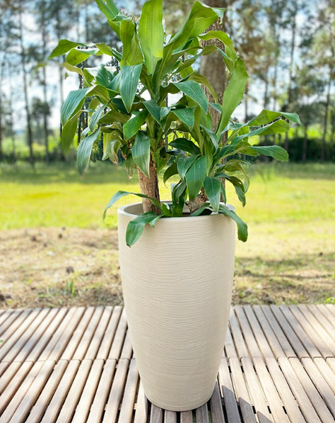 MACETERO FLORIDIS AMSTERDAM 65CM DE ALTO-2