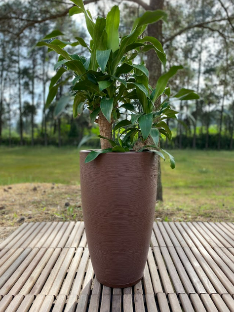 MACETERO FLORIDIS AMSTERDAM 65CM DE ALTO-1