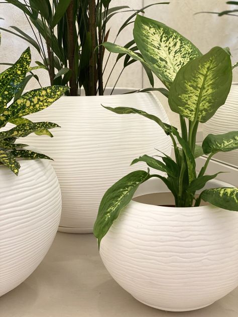 MACETERO FLORIDIS FLORENCIA BLANCO 19CM CON PLATO-3