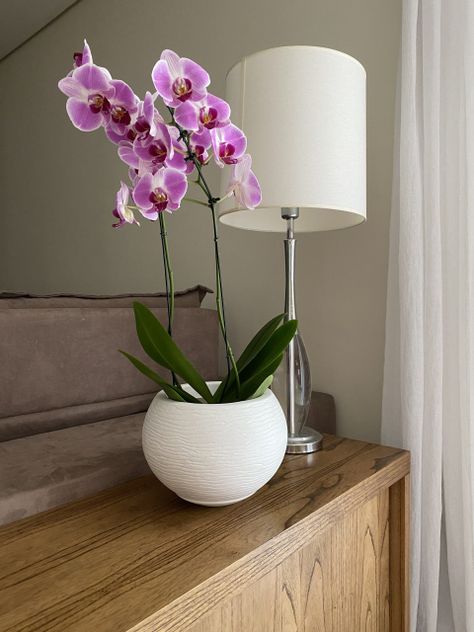 MACETERO FLORIDIS FLORENCIA BLANCO 19CM CON PLATO-2