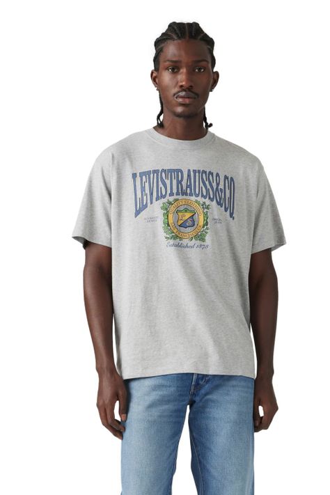 Polera Hombre Vintage Fit Graphic Tee Gris Levis 87373-0216-0