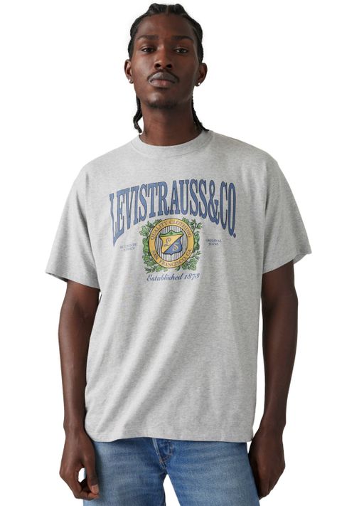 Polera Hombre Vintage Fit Graphic Tee Gris Levis 87373-0216-2