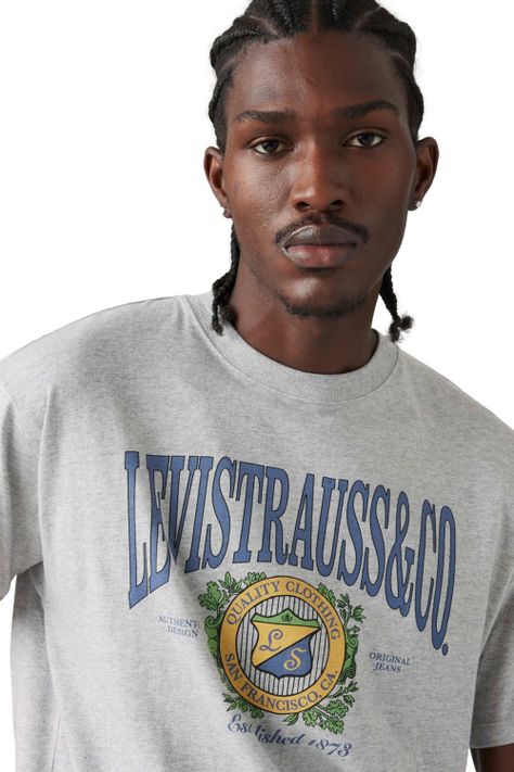 Polera Hombre Vintage Fit Graphic Tee Gris Levis 87373-0216-3