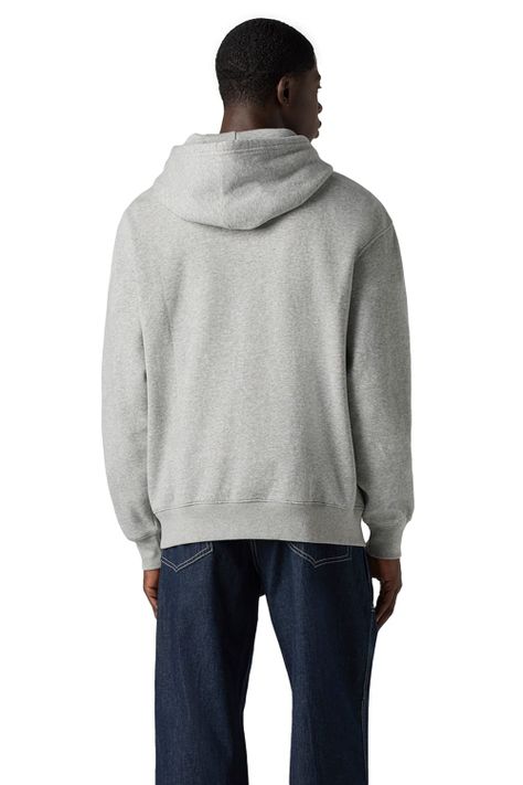 Polerón Hombre Relaxd Graphic Crew Gris Levis 38712-0386-3