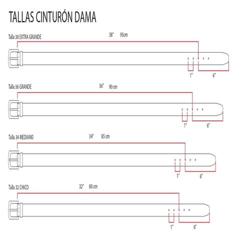 Cinturón Mujer Una Cara Café Levis 87519-0141-4
