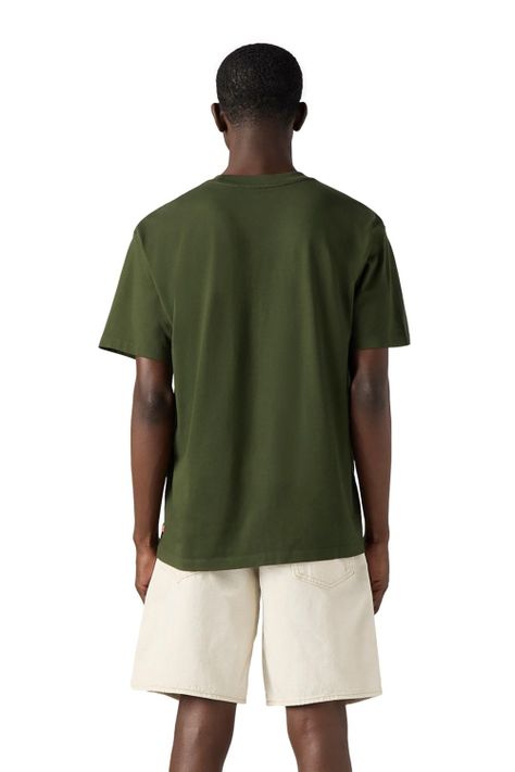 Polera Hombre Vintage Fit Graphic Tee Verde Levis 87373-0244-1