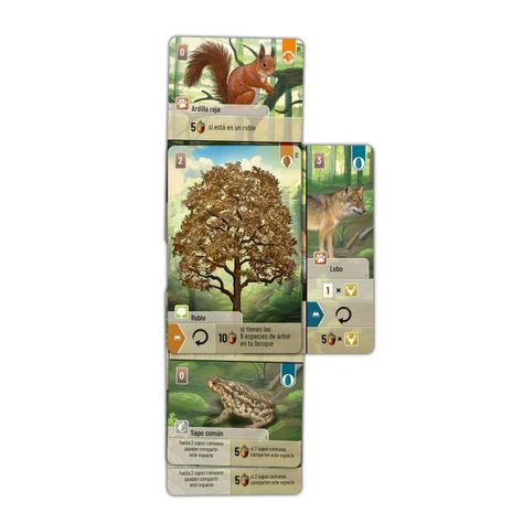 Juego Familiar - Forest Shuffle-1