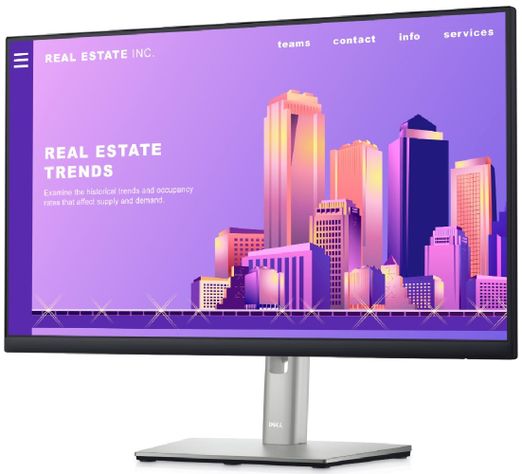 Monitor Dell P2422h 23.8" 1920x1080 HDMI/VGA/DP  Plano-0