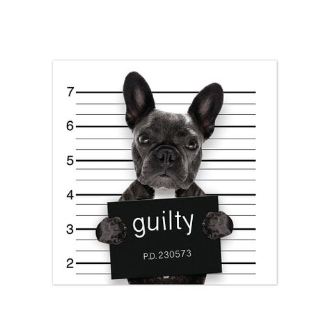Alfombra Vinílica Pet Bad Bulldog 70x70 cm-0