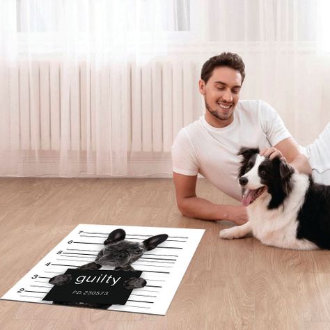 Alfombra Vinílica Pet Bad Bulldog 70x70 cm-1