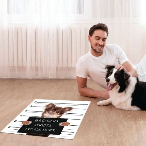 Alfombra Vinílica Pet Bad Chihuahua  70x70 cm-1