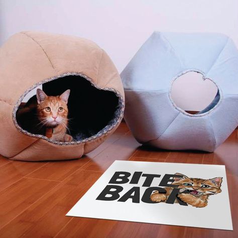Alfombra Vinílica Pet Bite Back 70x70 cm-1