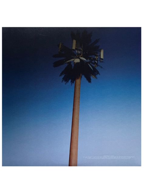 Vinilo - Miley Cyrus - Endless Summer Vacation-1