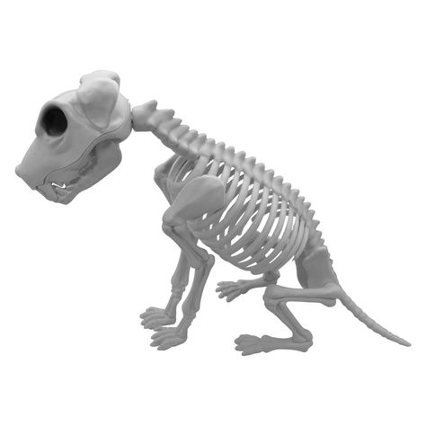 Esqueleto Perro 43x25x8 cm Halloween Big Party-0