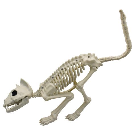 Esqueleto Gato 48x18 cm Halloween Big Party-0