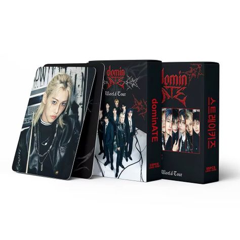 Photocard Stray Kids Dominate World Tour-3