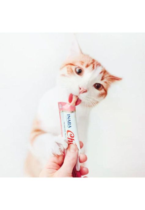 Churu Snack Para Gatos Pure De Atún 4 sabores 50 Unidades-2