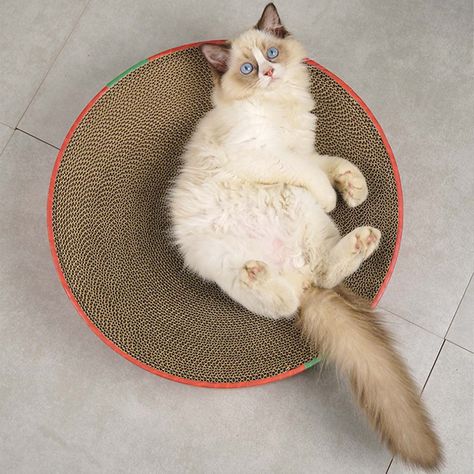 Cama Rascadora Almohadilla Para Gatos Mascota 41cm-5