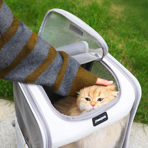 Mochila De Transporte Para Mascotas Bolso De Paseo-3