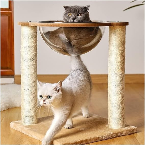 Nido Rascador Cama Para Gato Cápsula Transparente Moderno-1