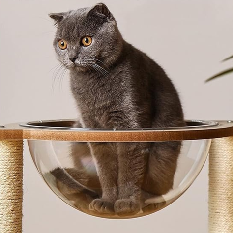 Nido Rascador Cama Para Gato Cápsula Transparente Moderno-2