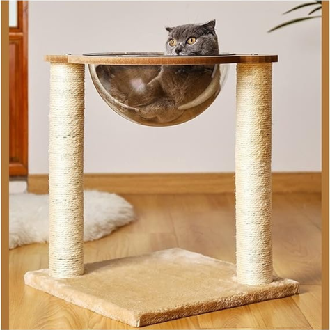 Nido Rascador Cama Para Gato Cápsula Transparente Moderno-3