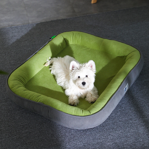 Cama Para Mascotas Bordes Acolchados Tamaño Mediano L-1
