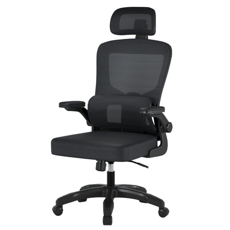 Silla Escritorio Homework Ergonómica Reposo Lumbar Cintura-0