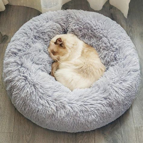 Cama Nido de Felpa Para Mascotas Con Forma de Rosca 50cm-2