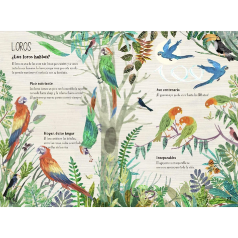 El gran libro de las aves-1