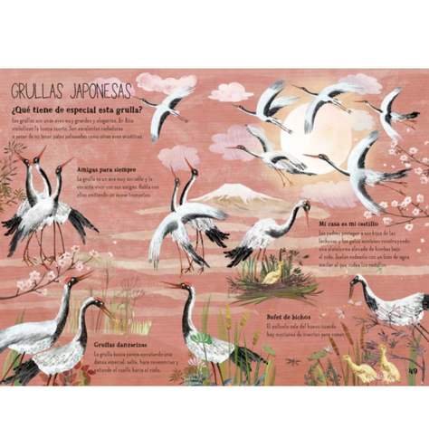El gran libro de las aves-2