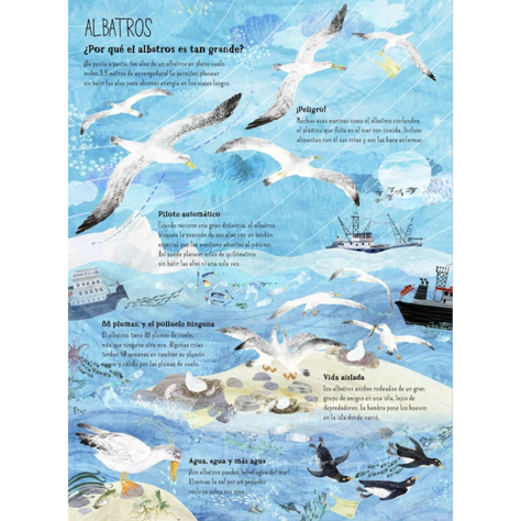 El gran libro de las aves-3