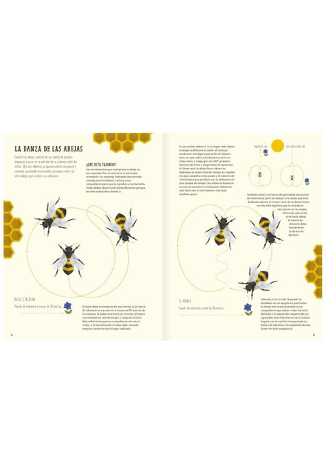 El mundo de las abejas-3