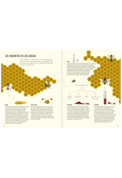 El mundo de las abejas-5