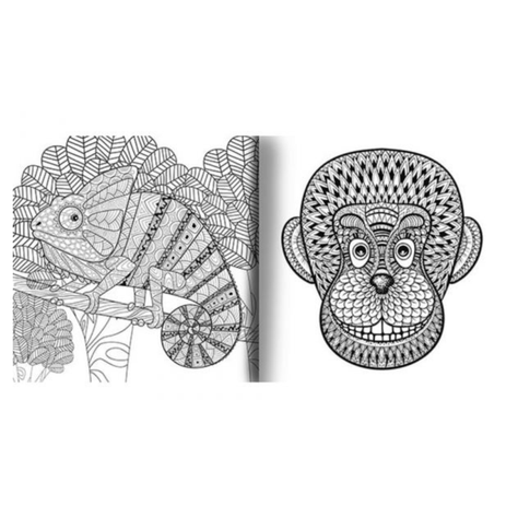 Universo Mandala - Conecta con la vida animal-1