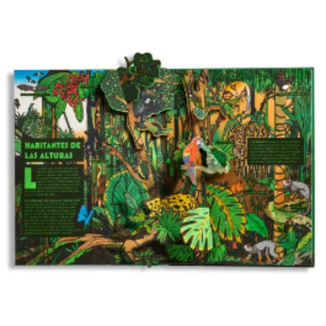 POP - UP Bosques-1