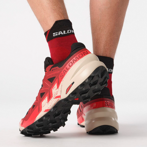 Zapatilla Hombre Speedcross 6 Gtx Ro Salomon-2
