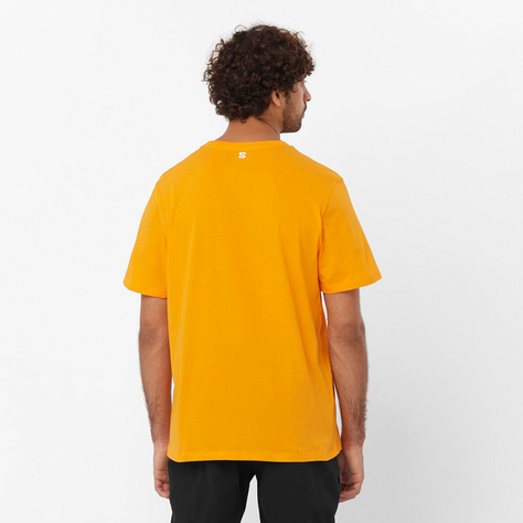 Polera Hombre Graphic Ss Tee M Na Salomon-1