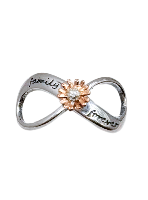 Charm Infinito "Family Forever" y Flor para Pulsera en Plata 925, Regalo Familia, Mamá, Hermana-0