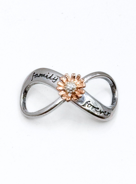 Charm Infinito "Family Forever" y Flor para Pulsera en Plata 925, Regalo Familia, Mamá, Hermana-1