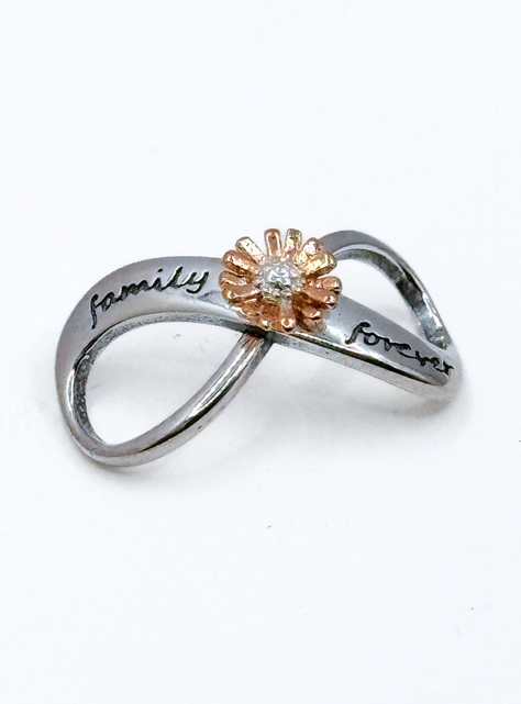 Charm Infinito "Family Forever" y Flor para Pulsera en Plata 925, Regalo Familia, Mamá, Hermana-2