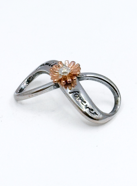 Charm Infinito "Family Forever" y Flor para Pulsera en Plata 925, Regalo Familia, Mamá, Hermana-3