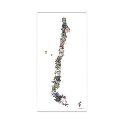 Mapa de Chile con Gatos - Lámina-0