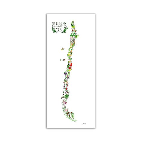 Mapa de Chile con Frutas y Verduras - Lámina-0