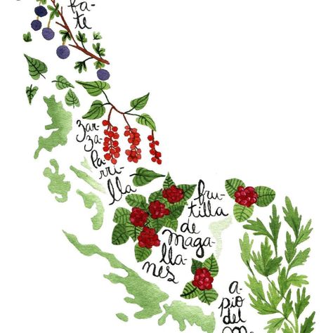 Mapa de Chile con Frutas y Verduras - Lámina-2